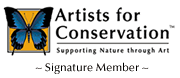 logo img